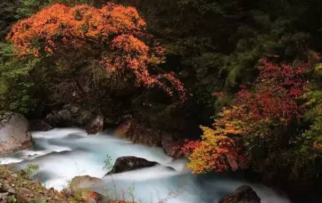 丹云峡(松潘县 丹云峡景区位于松潘县黄龙风景区东,起于玉笋群峰,止