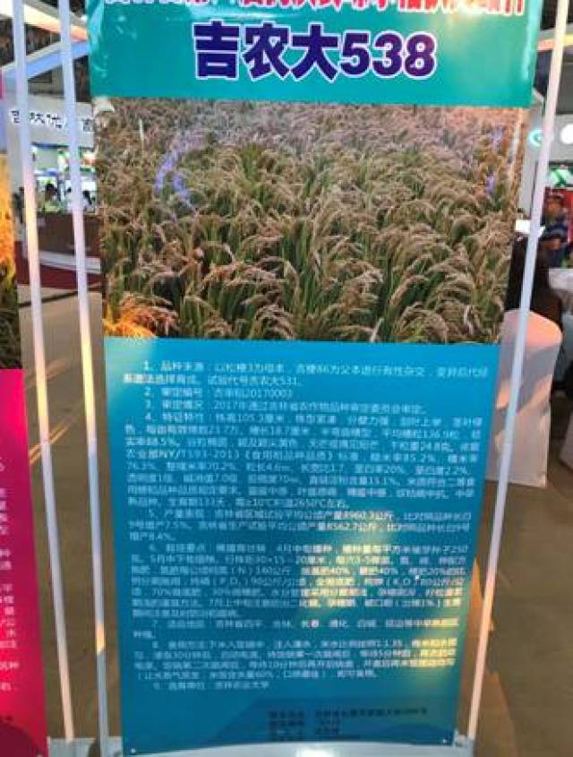 吉农大538和通化农科院选育的通禾66 荣获"第八届吉林省优质食味水稻