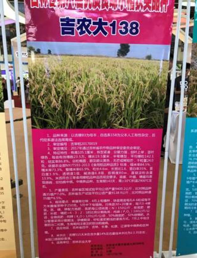 吉农大538和通化农科院选育的通禾66 荣获"第八届吉林省优质食味水稻