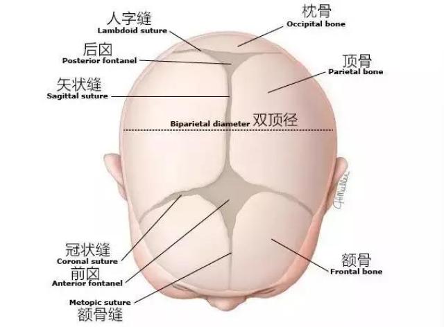 囟门凹陷:宝宝囟门凹陷说明可能是脱水了,需要及时给宝宝补充水分.