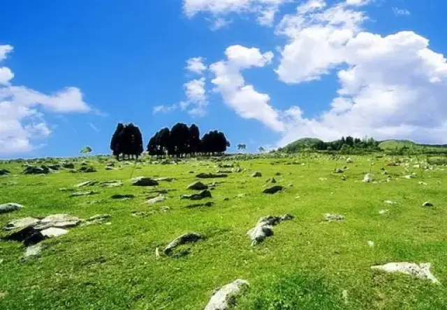 城口黄安坝草原 【推荐理由】黄安坝片片绿茵连绵起伏,仿佛一块巨大的