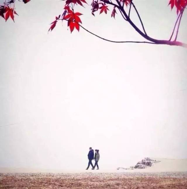 愿得一知己,此生无憾