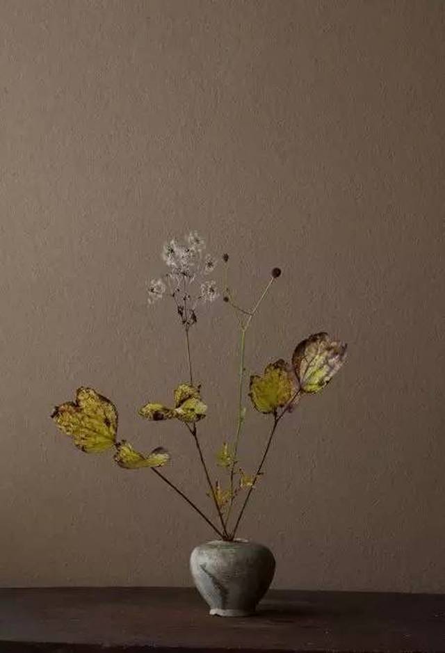 从形式上看,插花是把剪切下来的花插在瓶或盘等容器中, 所用花材大致