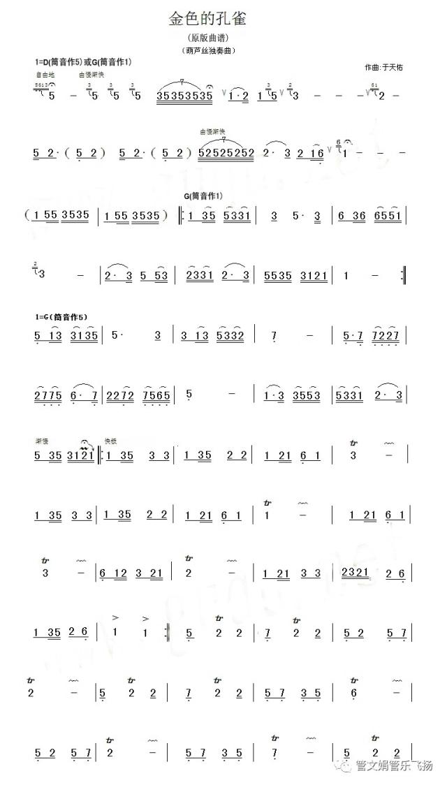 【葫芦丝教学】《金色的孔雀》于天佑老师讲解