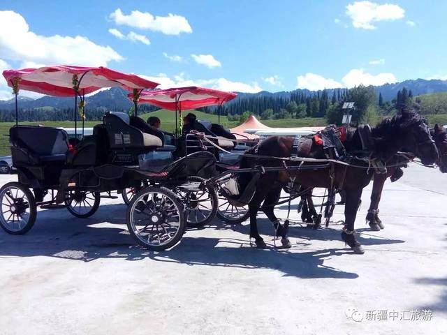 除了表上列出的项目还可到赛马场体验高端名马骑乘(如:汗血宝马