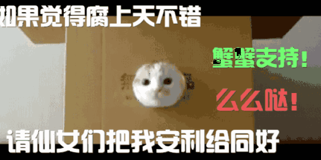 小黄易肯定给你推过这些声优工口曲!-动漫