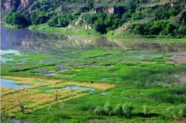 惊艳的村子 109e5a73957846b6aafd47b033954ab7.jpeg