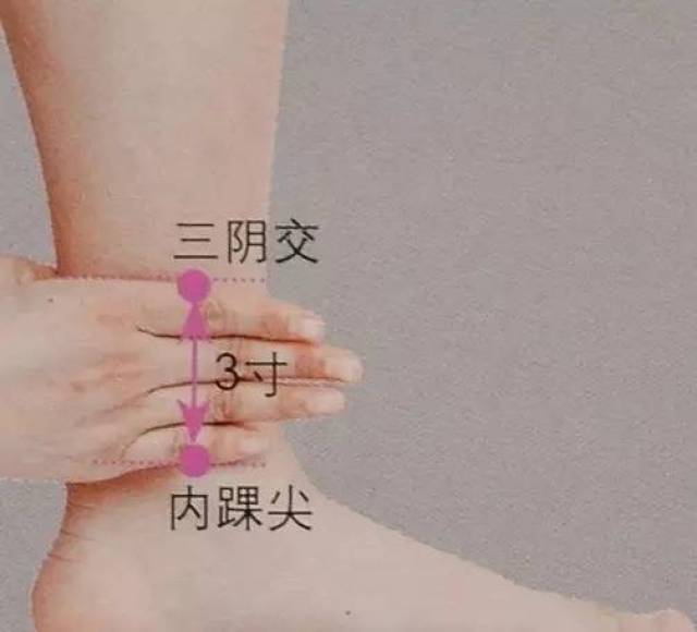 "三阴交"位于小腿内侧,足内踝上缘三指宽,在踝尖正上方胫骨边缘凹陷中