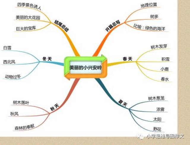 思维导图促进右脑开发,快速提高语文成绩