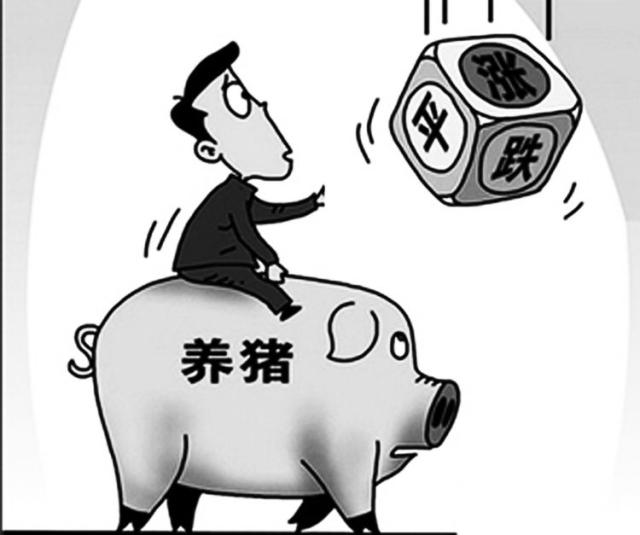 生猪价格上涨还是跌 351a5d0e0c4f4b3d843e264de189577f.jpeg