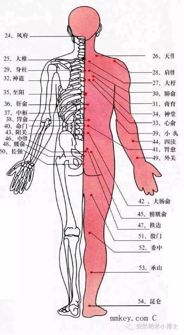 肺经的主要功能及保养方法.