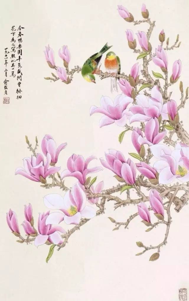 玉兰花绘画教程
