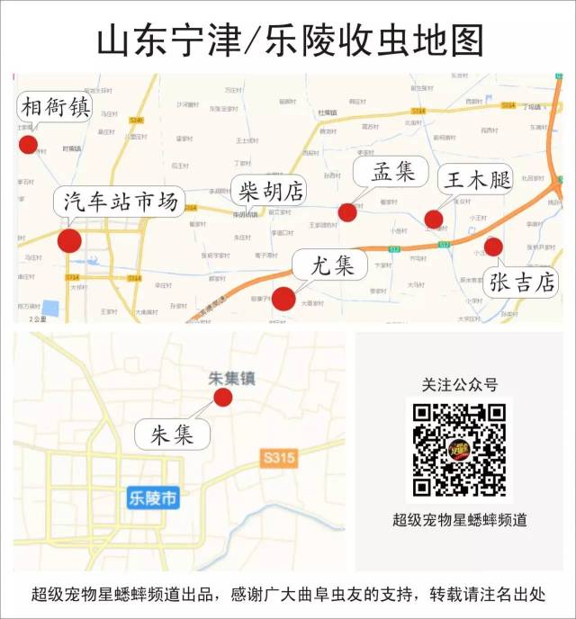 宁津蛐蛐收虫攻略,附宁津,乐陵收虫地图图片