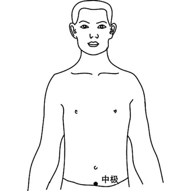 中极穴位置