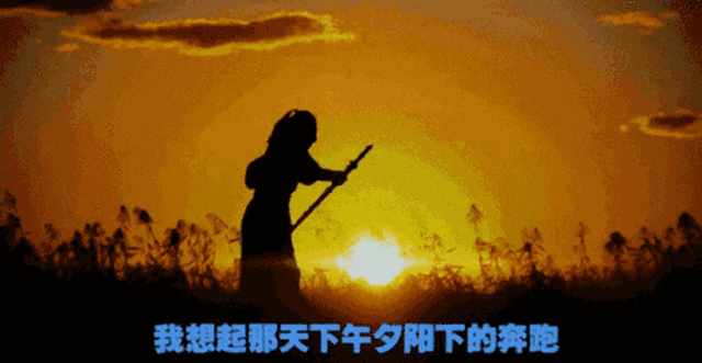 威海的家长注意!9月1日起,你家孩子的中小学语文教材要换新啦!