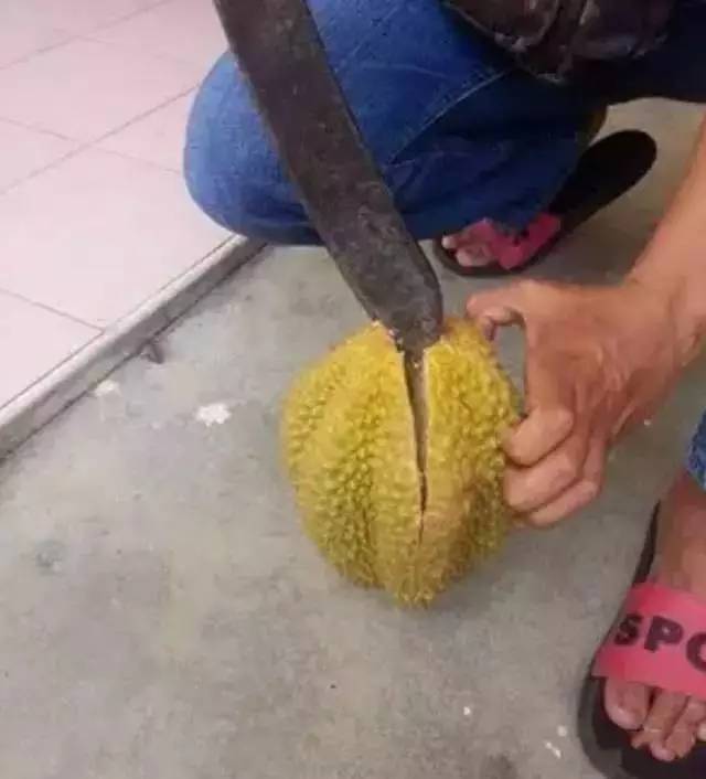 垂头丧气,还是买个榴莲回去吃吧, 可等到我一层一层剥开榴莲皮…… ▼