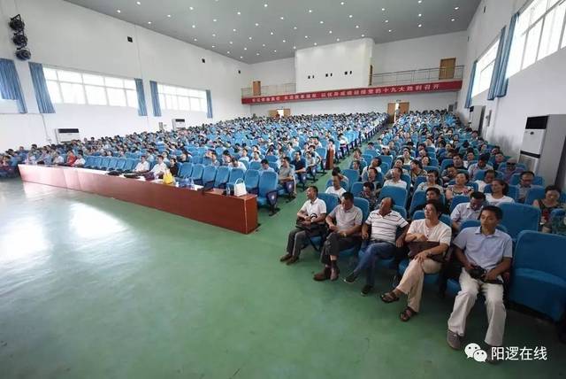 新洲区高级职业中学技能名师杨幼春,新洲一中数学高级教师张千秋,新洲