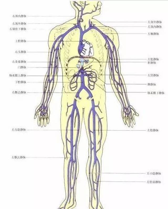 筋缩,筋结健康靠自己