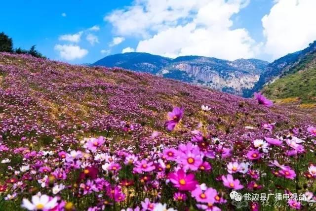 成为香格里拉环线的重要组成部分,是盐边县乃至我市"交通 旅游"的重要