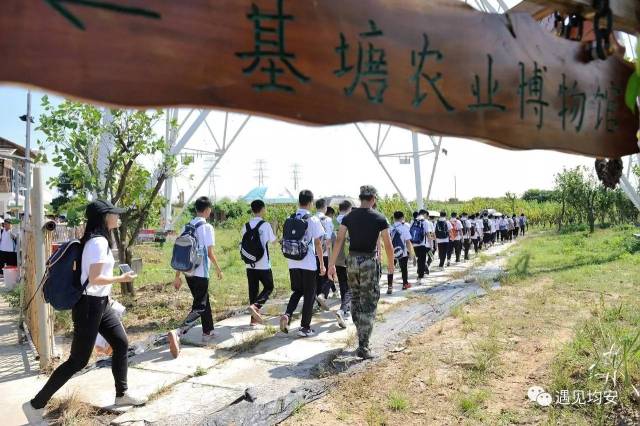 容桂的同学仔在南沙岛玩得不亦可乎!均安的你坐得住吗