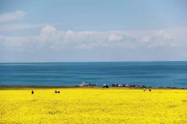 青海湖高清图片