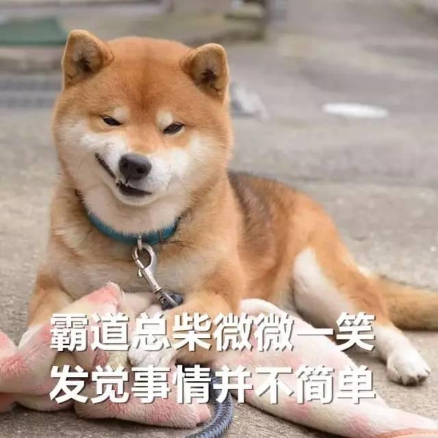 78555734ee714b1ab858ff1898341433.jpeg