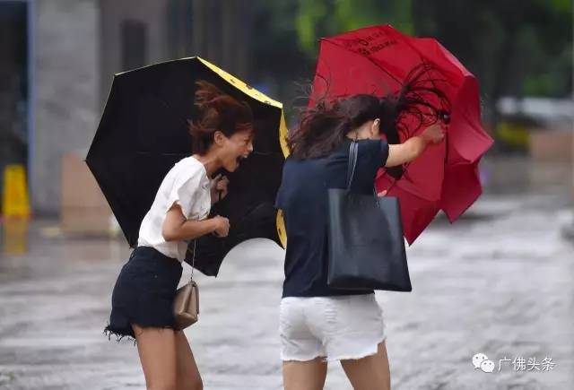 天鸽登陆!佛山台风橙色预警已生效,这些防御