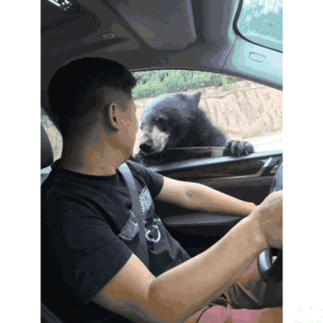 375_375gif 动态图 动图