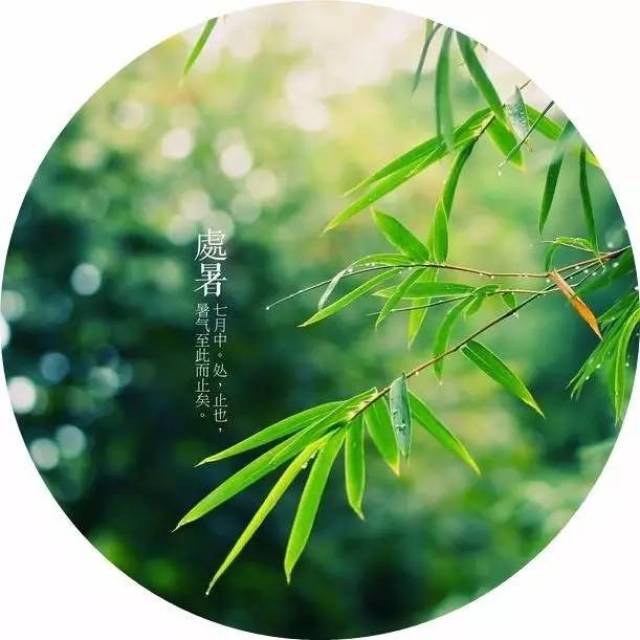 【处暑】一候鹰乃祭鸟;二候天地始肃;三候禾乃登.