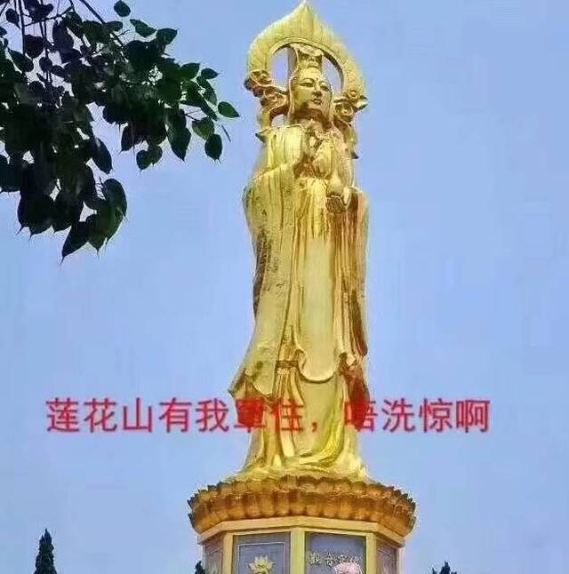 他都头顶莲花带着BGM来安慰你了 搜狐网