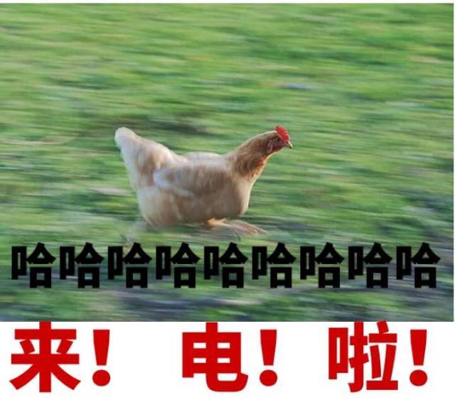 关于电力人的这些表情包,我们内心是无法拒绝的-搞笑频道-手机搜狐