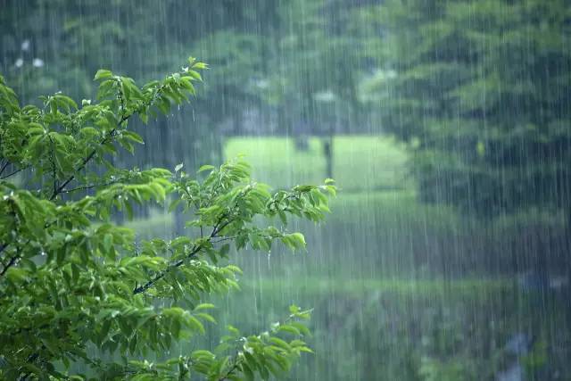 处暑·诗词 处暑后风雨 宋·仇远 疾风驱急雨,残暑扫除空.