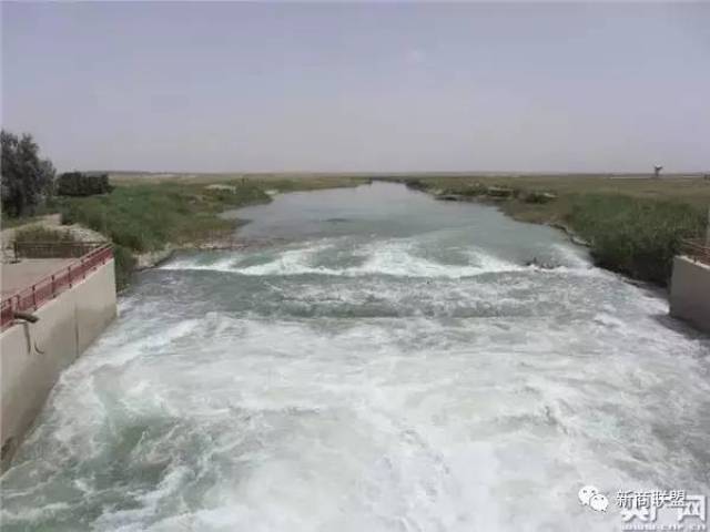 塔里木河来水逐年减少,下游近400公里河道断流,大片胡杨林死亡,人类