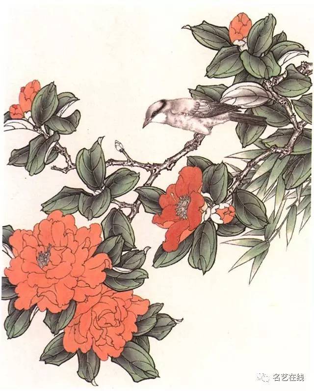 杜鹃花花工笔画 花朵