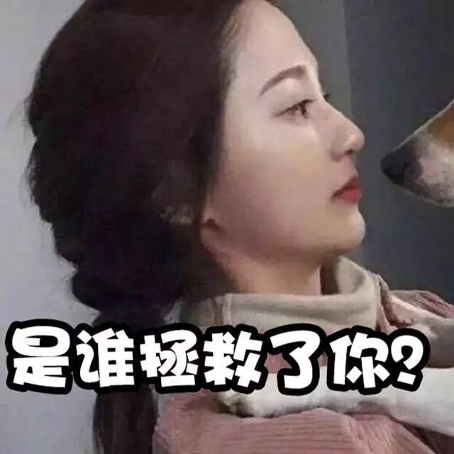 情侣头像有了,就缺对象了!-搞笑频道-手机搜狐