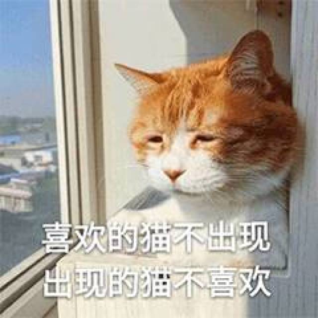 ea4d3aa7872443518f132a2bd03059ab.jpeg