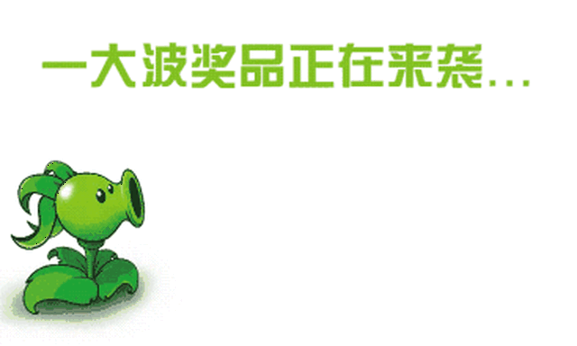 绽放青春~这个周末一起去世界之窗