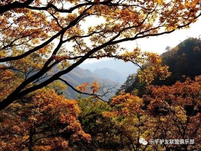 【活动】岳西明堂山玻璃栈道高空刺激一日游