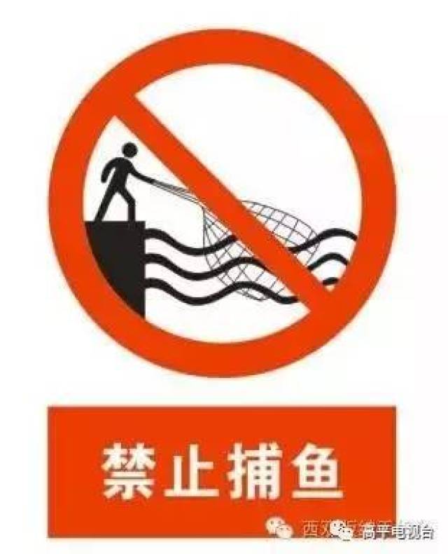 丹河管理处的负责人张鹏伟讲 丹河是禁止捕鱼的