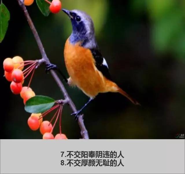 不交阳奉阴违的人
