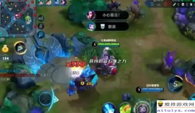 王者荣耀:张大仙蔡文姬打野2-19人头,辣眼睛!