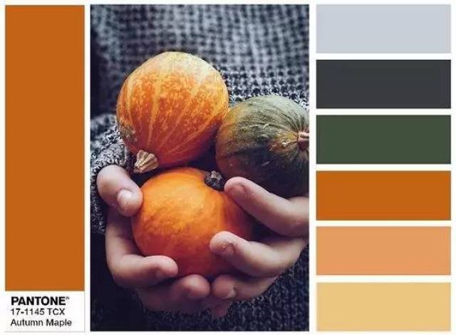 2017秋冬10大流行色太美了!你的衣橱最缺这2种颜色!