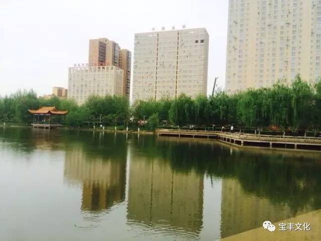 在咱宝丰县城,最好的去处,除了文峰塔,还有龙兴湖,作为一座新修的公园
