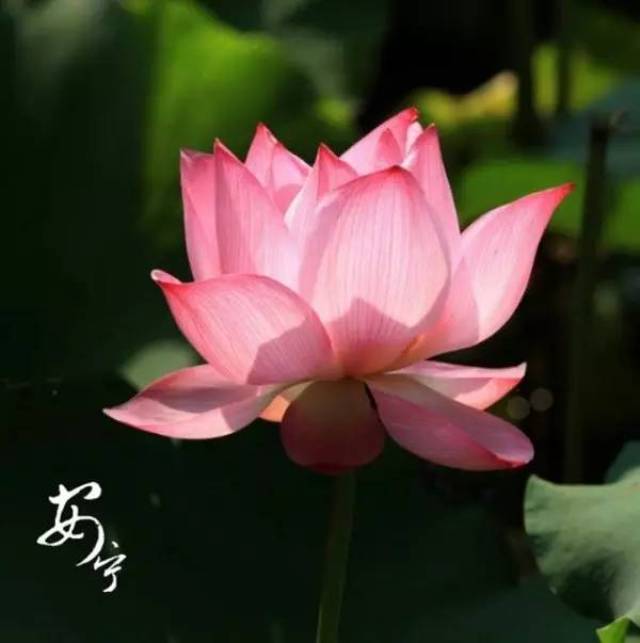 忍一忍,春暖花开;让一让,柳暗花明