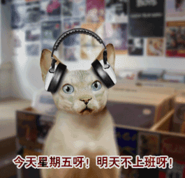 明天又到周末