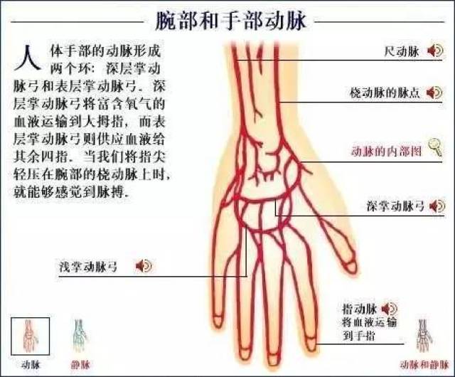 【分享】左手腕部粉碎性骨折—10天快速消肿,60天活动自由