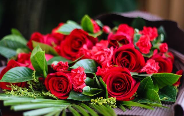 玫瑰象征着爱情 玫瑰花就是爱情的信物