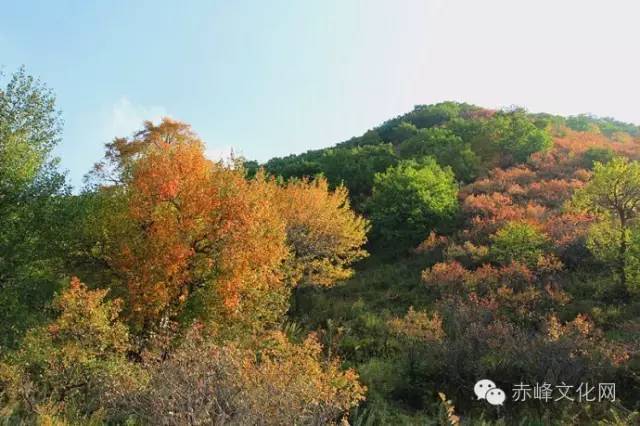 美林谷位于赤峰喀喇沁旗锦山镇西南部.从赤茅一级公路可直达景区.