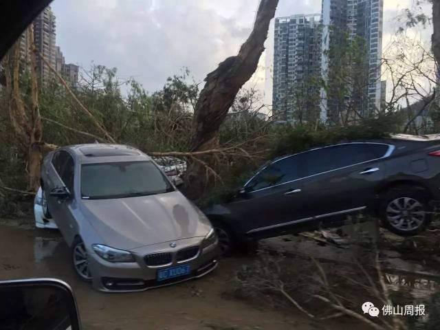 台风"帕卡"已于今天9时前后在台山东南部沿海登陆.