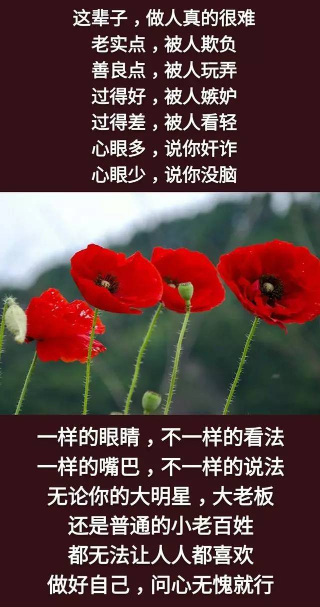 无论是谁都无法让人人都喜欢,做好自己,问心无愧就行.